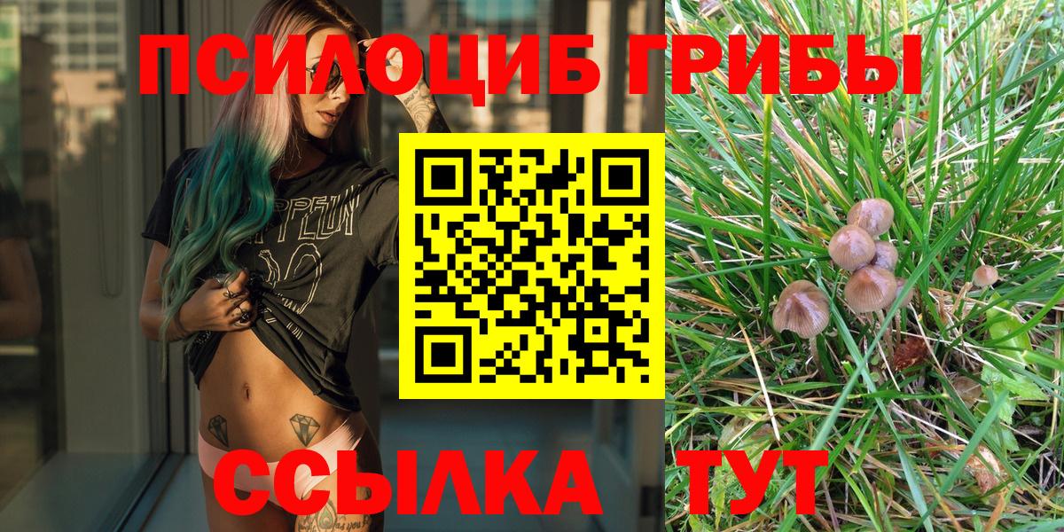 Псилоцибиновые грибы Magic Shrooms  Вход с VPN  Псилоцибиновые грибы Psilocybine cubensis  Бугульма 